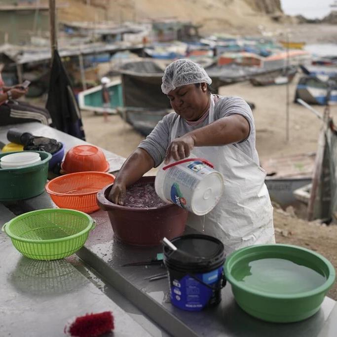 China's president unveils a megaport in Peru, but locals say they're being left out